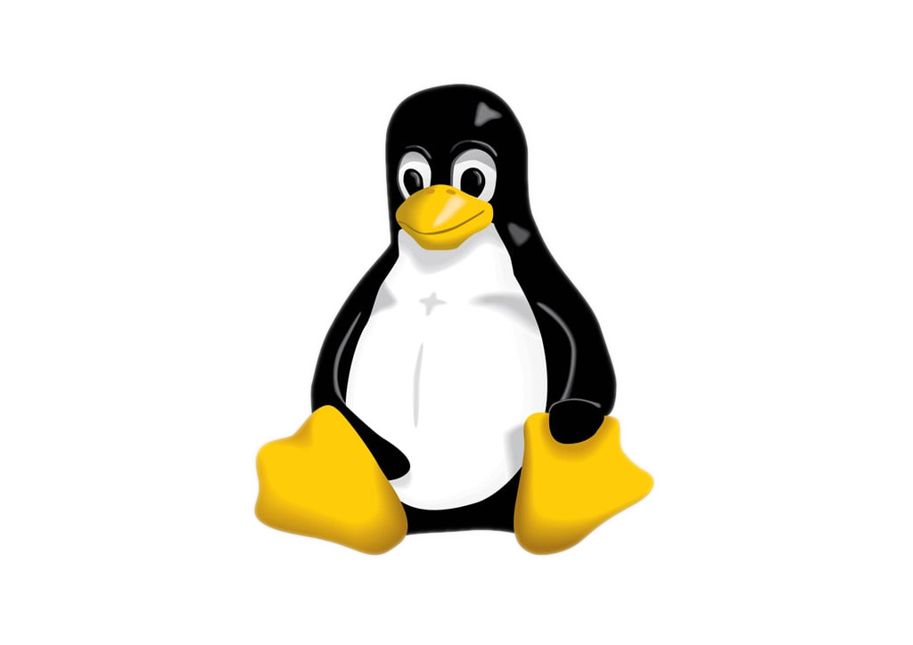 Linux szerverek telepítése